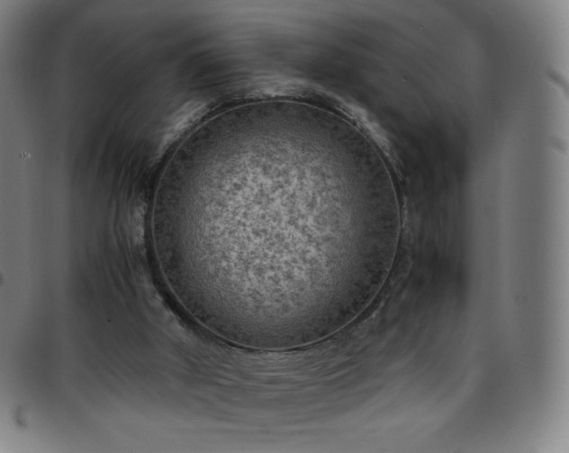 X0000097660010200803071543