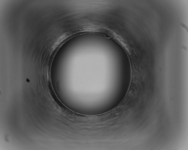 X0000097660011200803071543