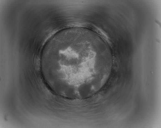 X0000097660012200803071543