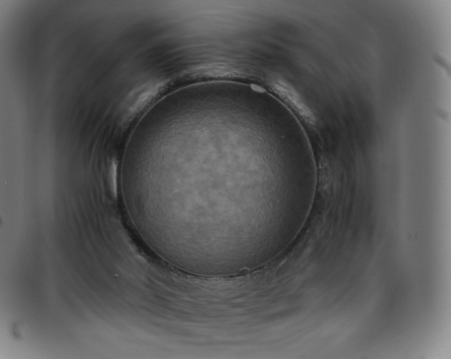 X0000097660014200803071543