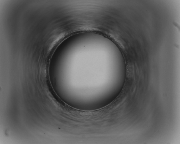 X0000097660015200803071543
