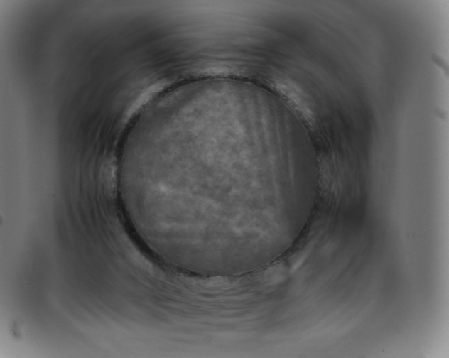 X0000097660016200803071543