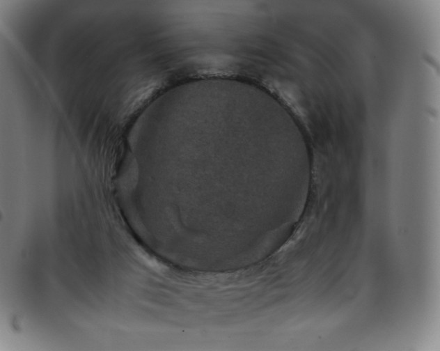 X0000097660017200803071543