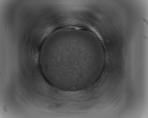 X0000097660018200803071543