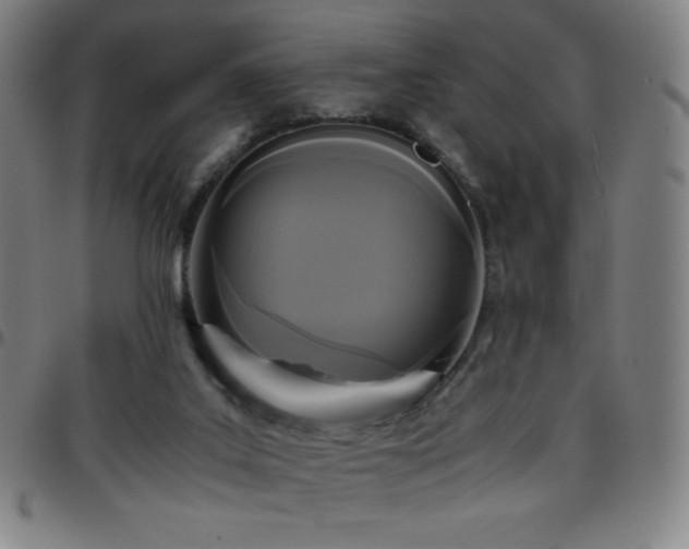 X0000097660019200803071543