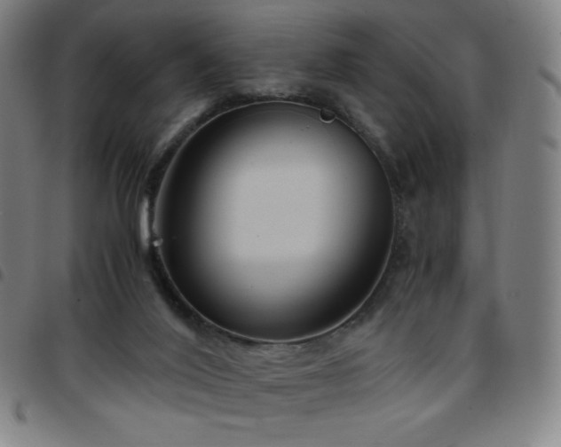 X0000097660020200803071543