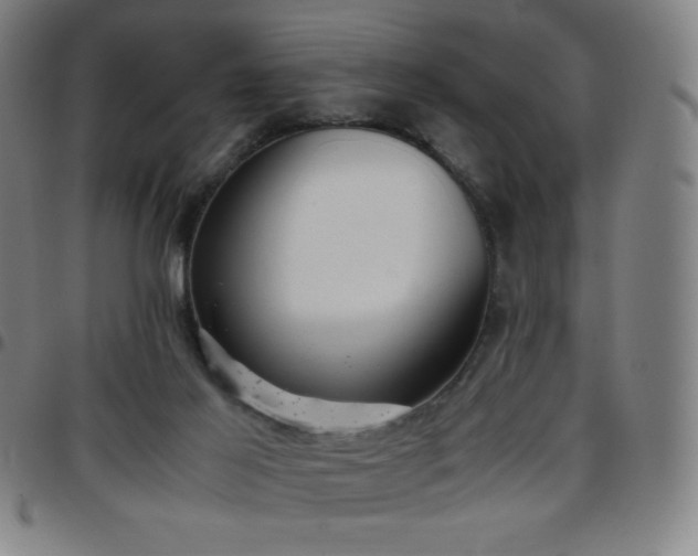 X0000097660021200803071543
