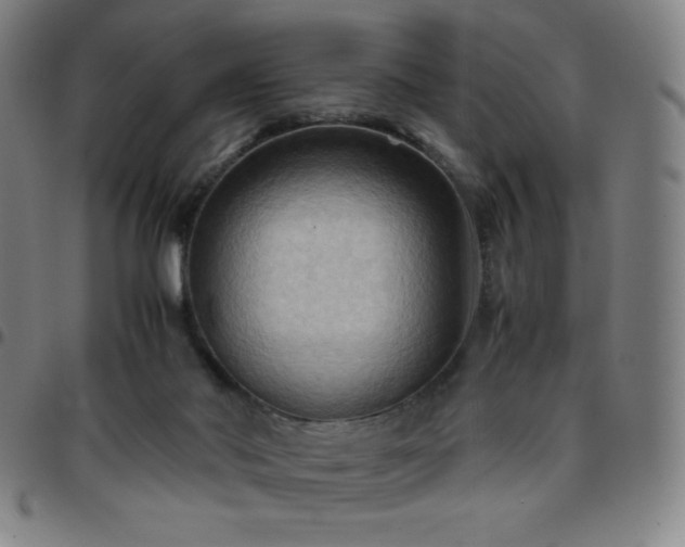 X0000097660022200803071543