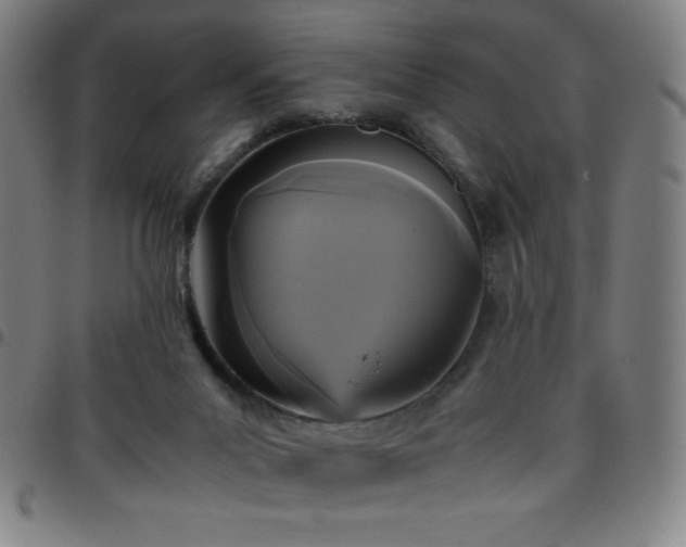 X0000097660023200803071543