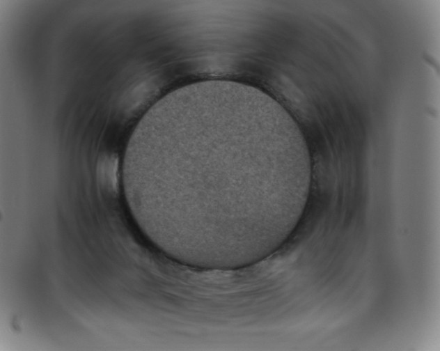 X0000097660024200803071543