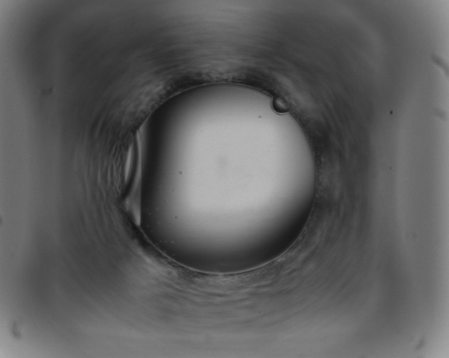 X0000097660025200803071543
