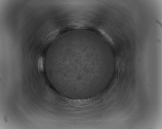 X0000097660026200803071543