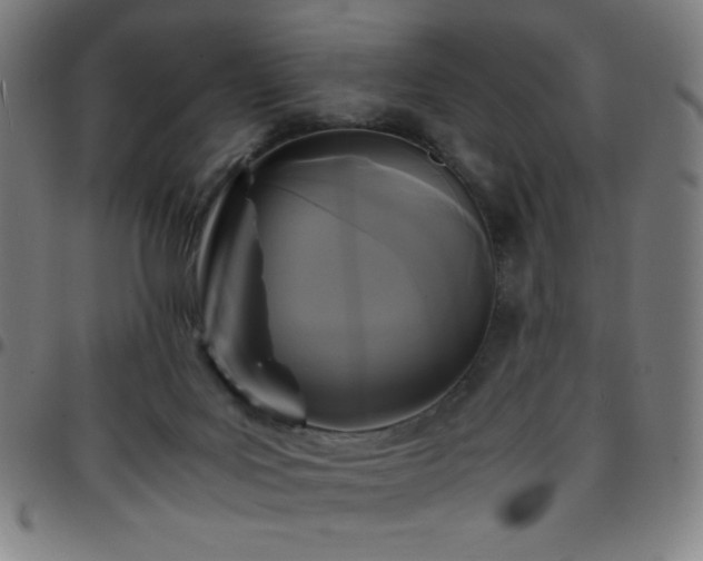 X0000097660027200803071543