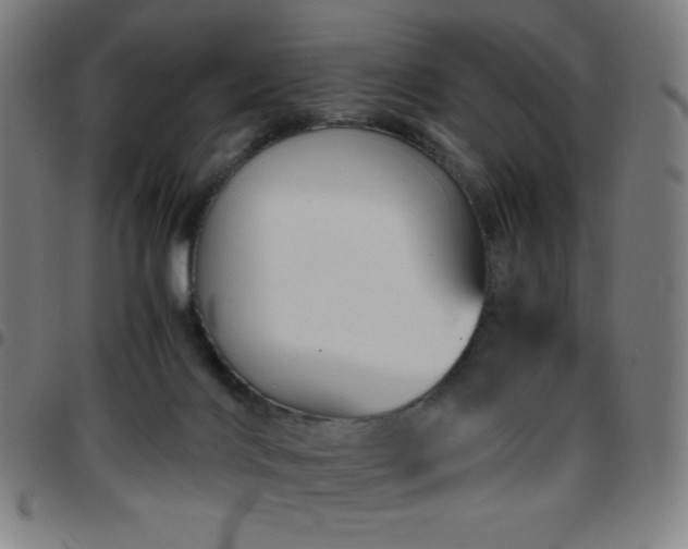 X0000097660028200803071543