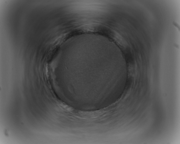X0000097660029200803071543