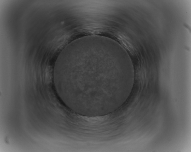 X0000097660030200803071543