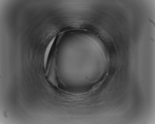 X0000097660031200803071543