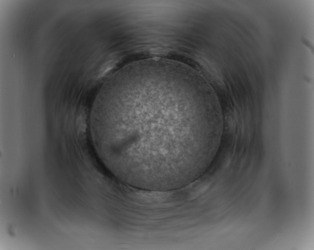 X0000097660032200803071542