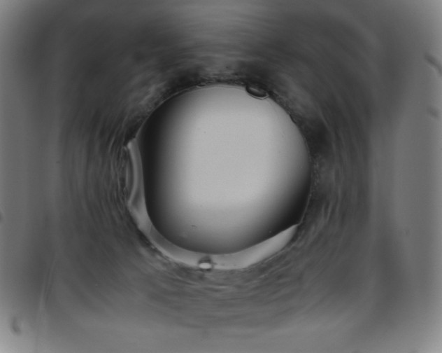 X0000097660033200803071542