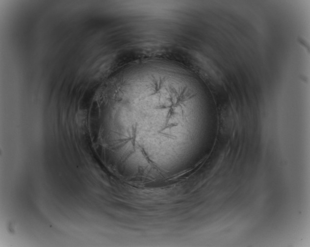 X0000097660034200803071542