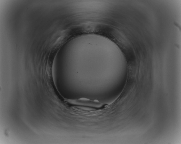 X0000097660035200803071542