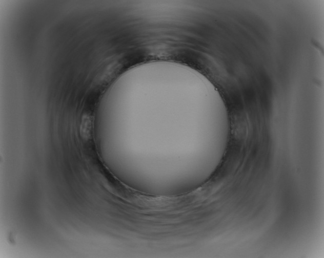 X0000097660036200803071542
