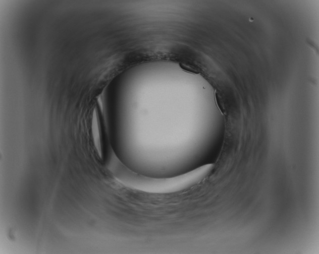 X0000097660037200803071542