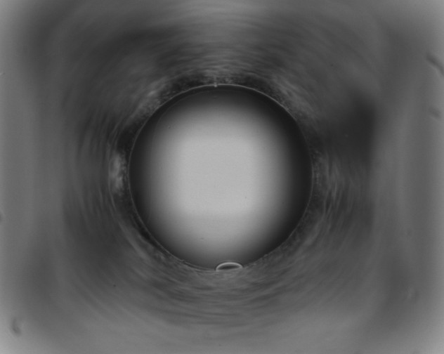 X0000097660038200803071542
