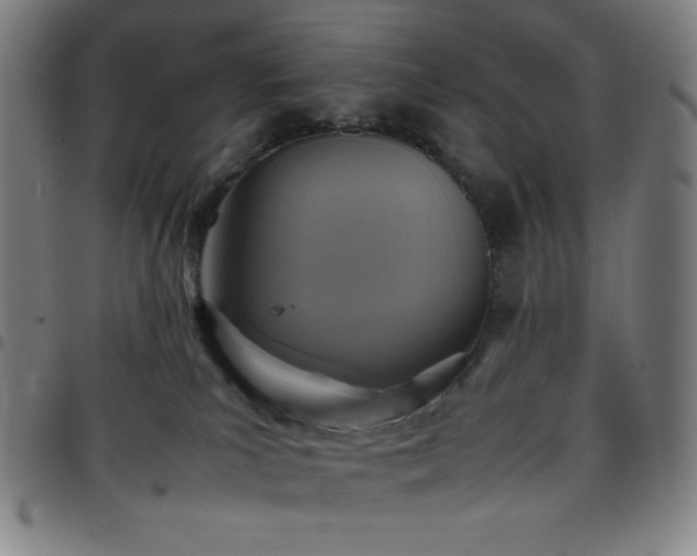 X0000097660039200803071542
