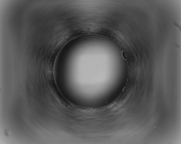 X0000097660040200803071542
