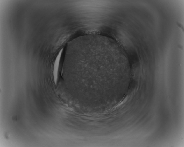 X0000097660041200803071542