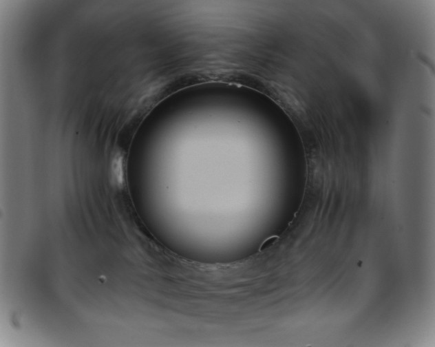 X0000097660042200803071542
