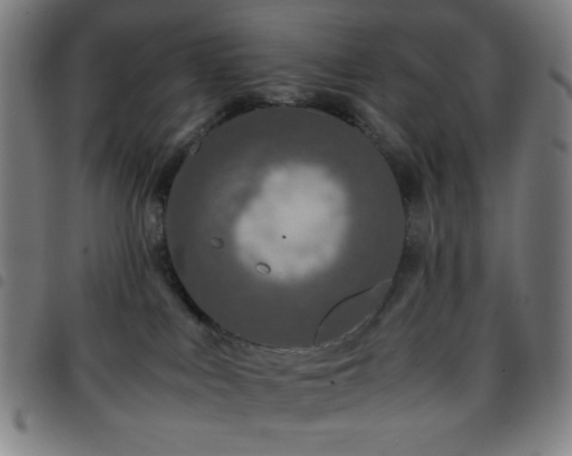 X0000097660043200803071542