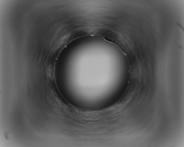 X0000097660044200803071542