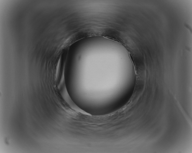 X0000097660045200803071542