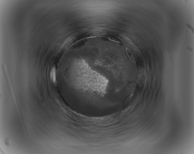 X0000097660046200803071542
