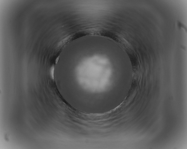 X0000097660047200803071542