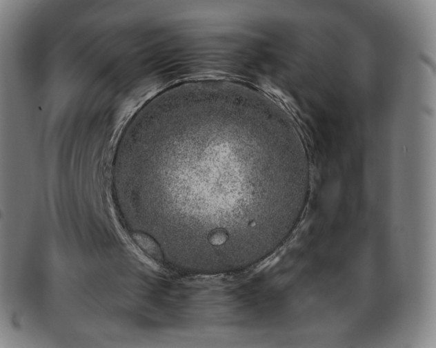 X0000097660049200803071542