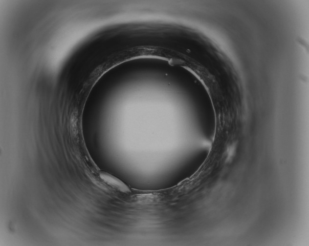X0000097660050200803071542