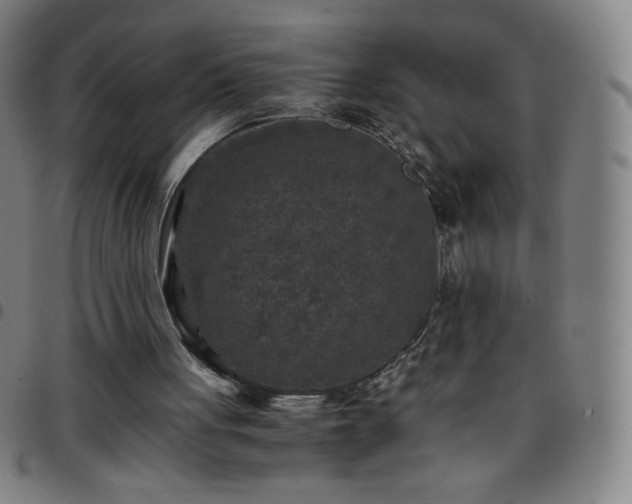 X0000097660051200803071542
