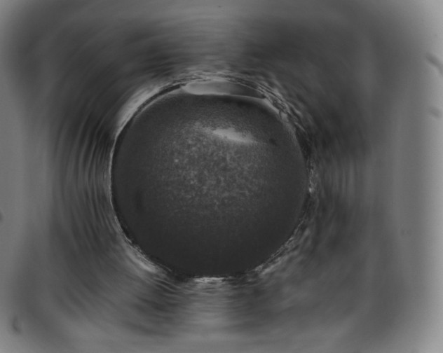 X0000097660052200803071542