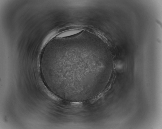 X0000097660053200803071542