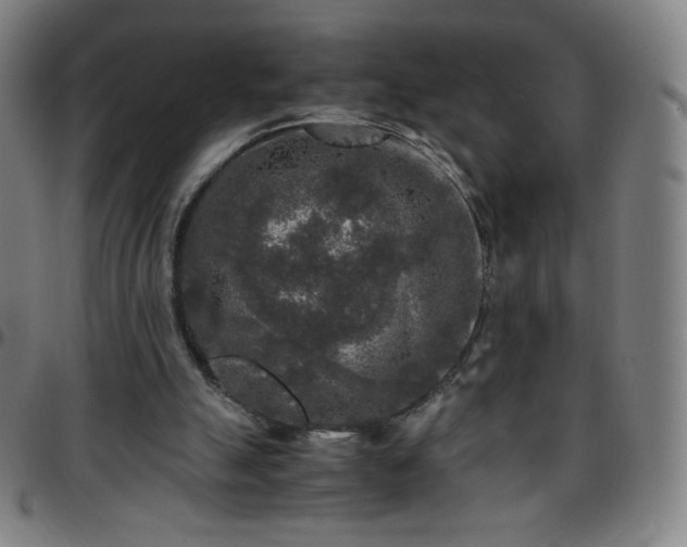 X0000097660055200803071542