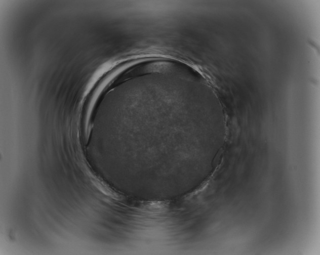 X0000097660056200803071542