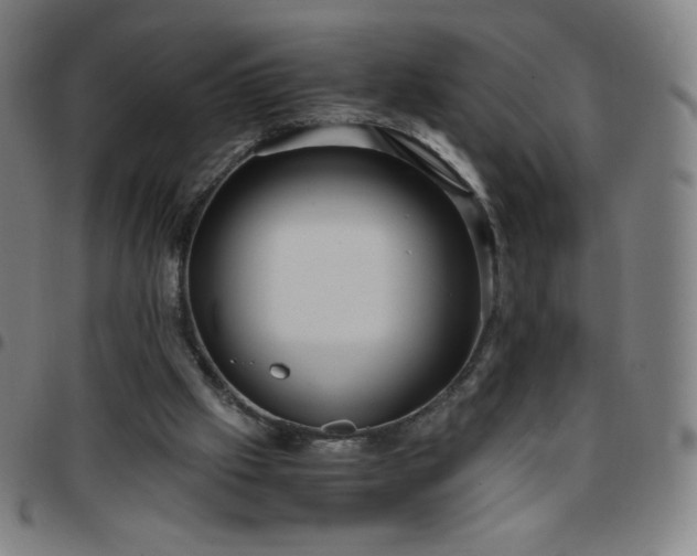 X0000097660057200803071542