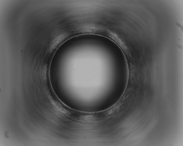 X0000097660058200803071542