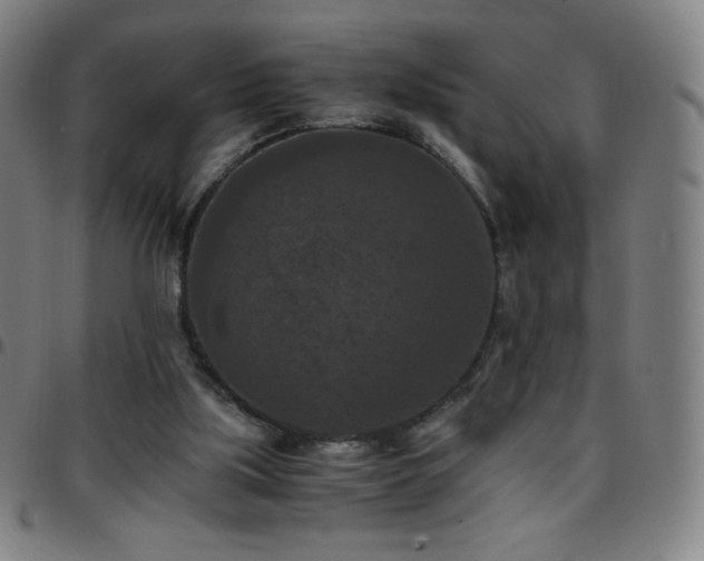 X0000097660059200803071542