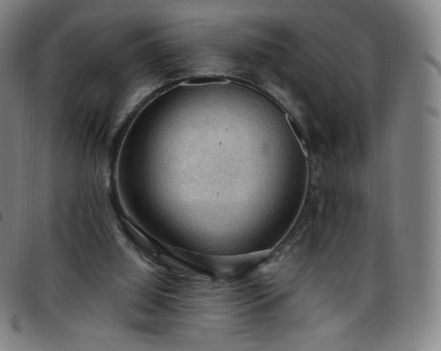 X0000097660060200803071542