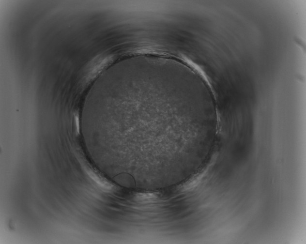 X0000097660061200803071542