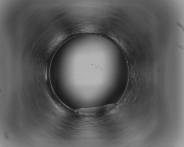X0000097660062200803071542